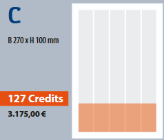<b>C</b><br> B 270 x H 100 mm<br><b>127 Credits<br>3.175,00 €</b>