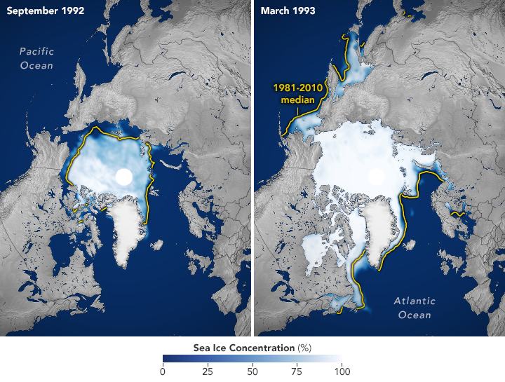 arctic_nsidc_1993