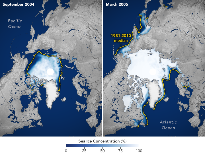 arctic_nsidc_2005