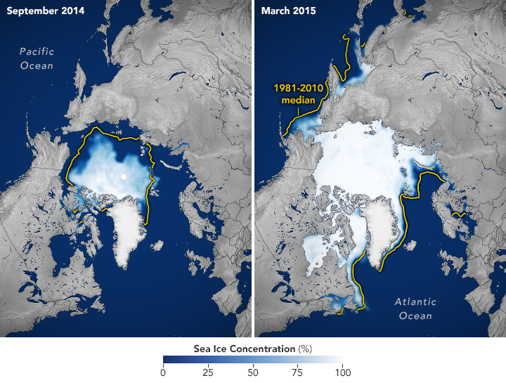 arctic_nsidc_2015